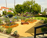 Organic Gardening