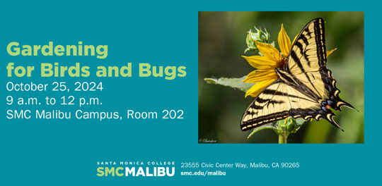 Gardening & Bugs - Malibu Campus