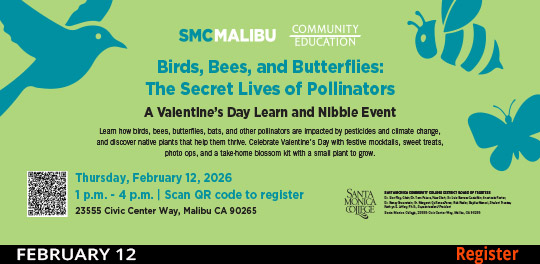 Community Ed - Malibu Valentine's Day Event